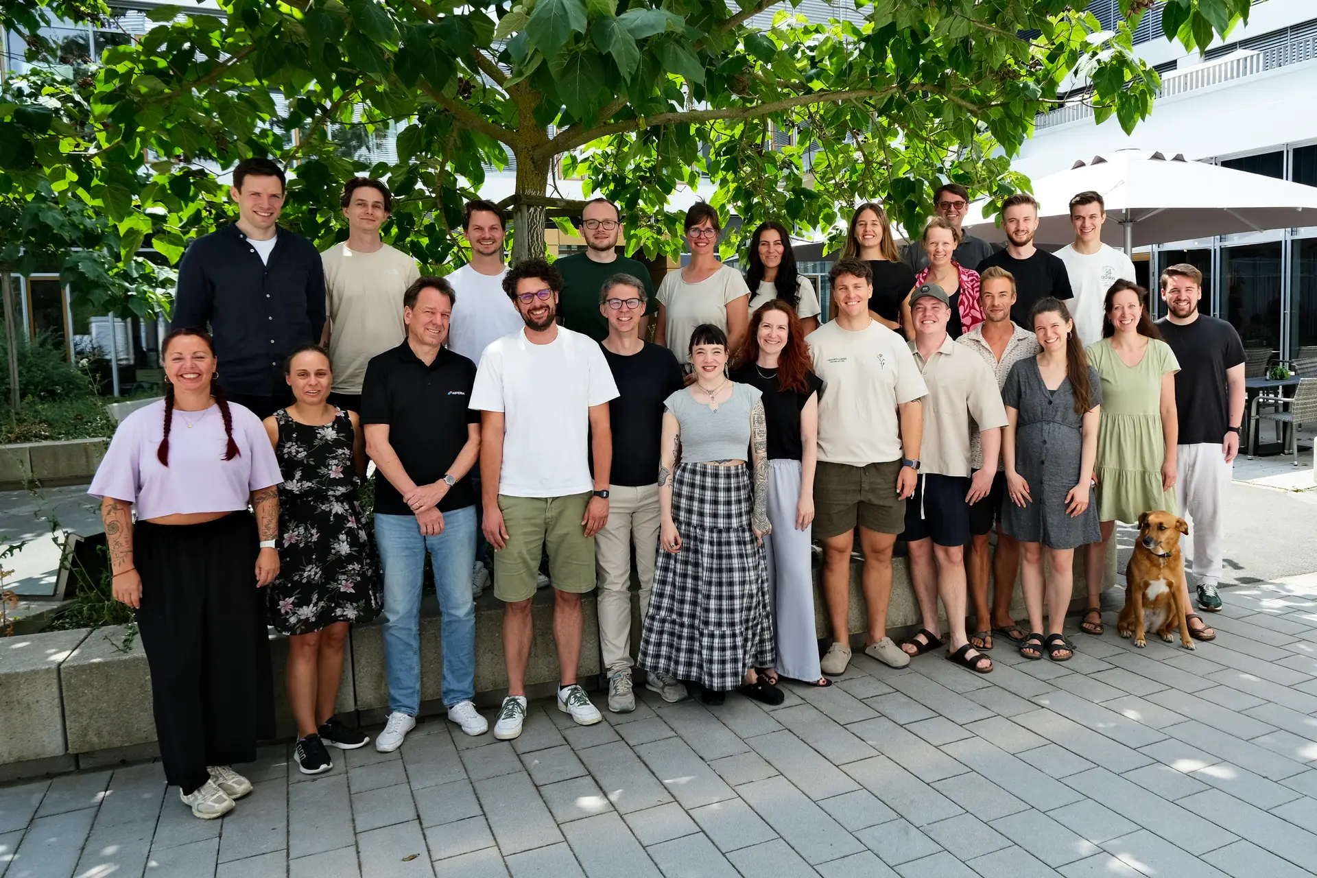The AIPERIA team